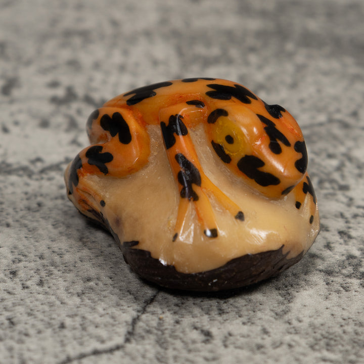 Vintage Gold And Black Frog Tagua Carving