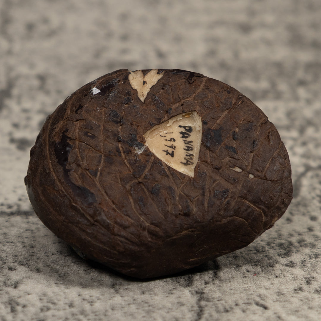 Vintage Frog Tagua Carving