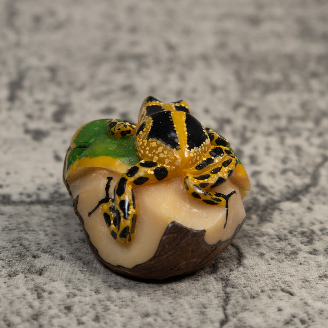 Black Green And Yellow Poison Dart Frog Tagua Carving