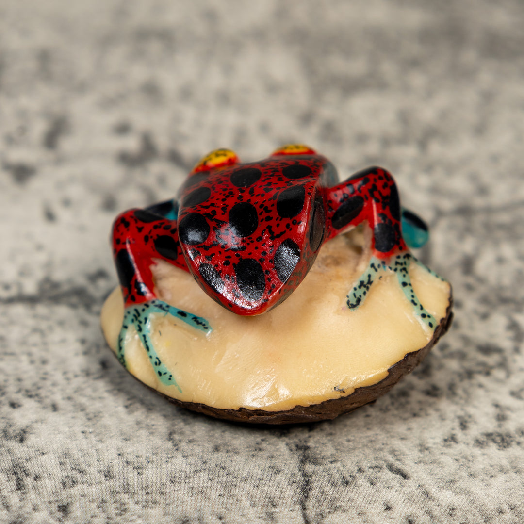 Gold And Black Red Poison Dart Frog Tagua Carving