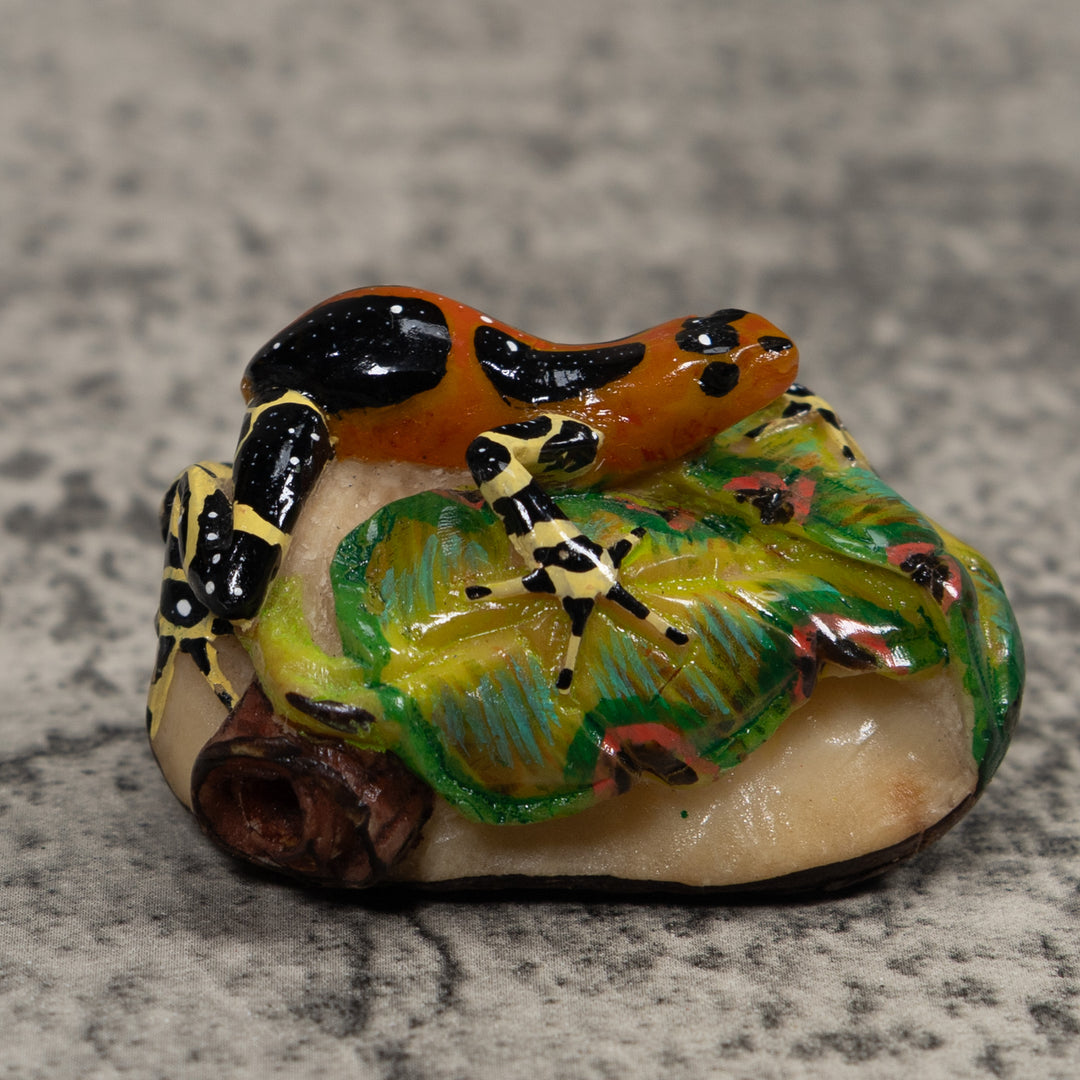 Poison Dart Frog Tagua Carving