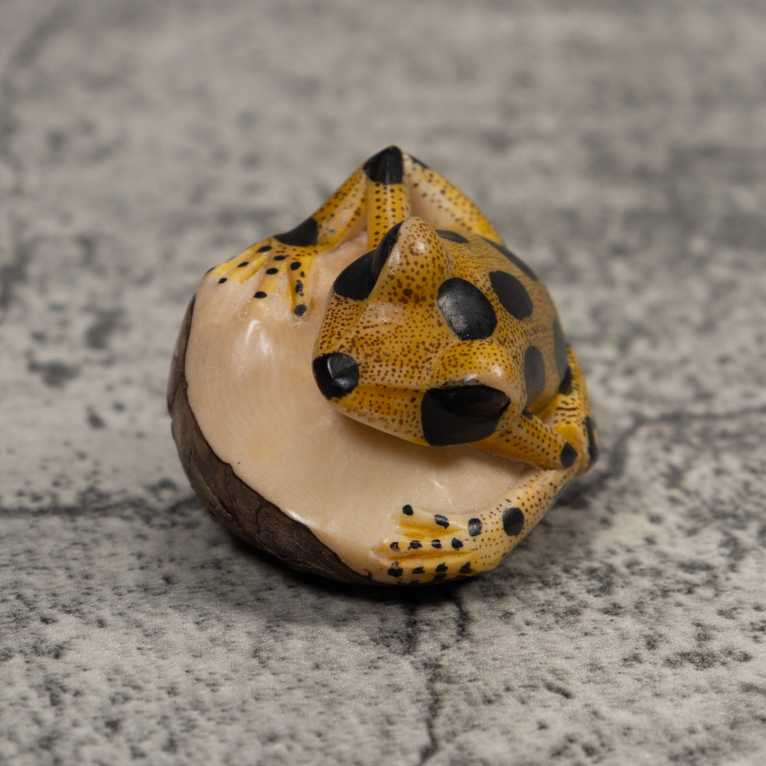 Poison Dart Frog Tagua Carving