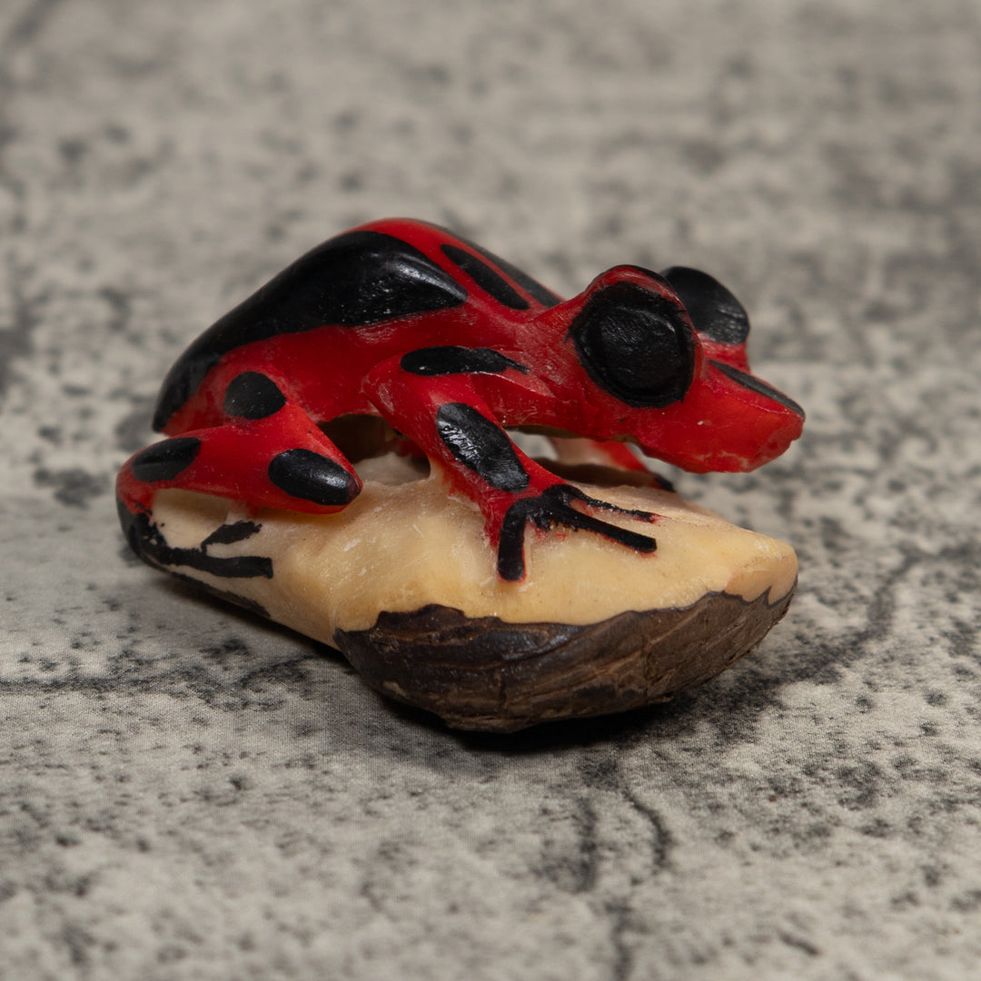 Vintage Red And Black Poison Dart Frog Tagua Carving