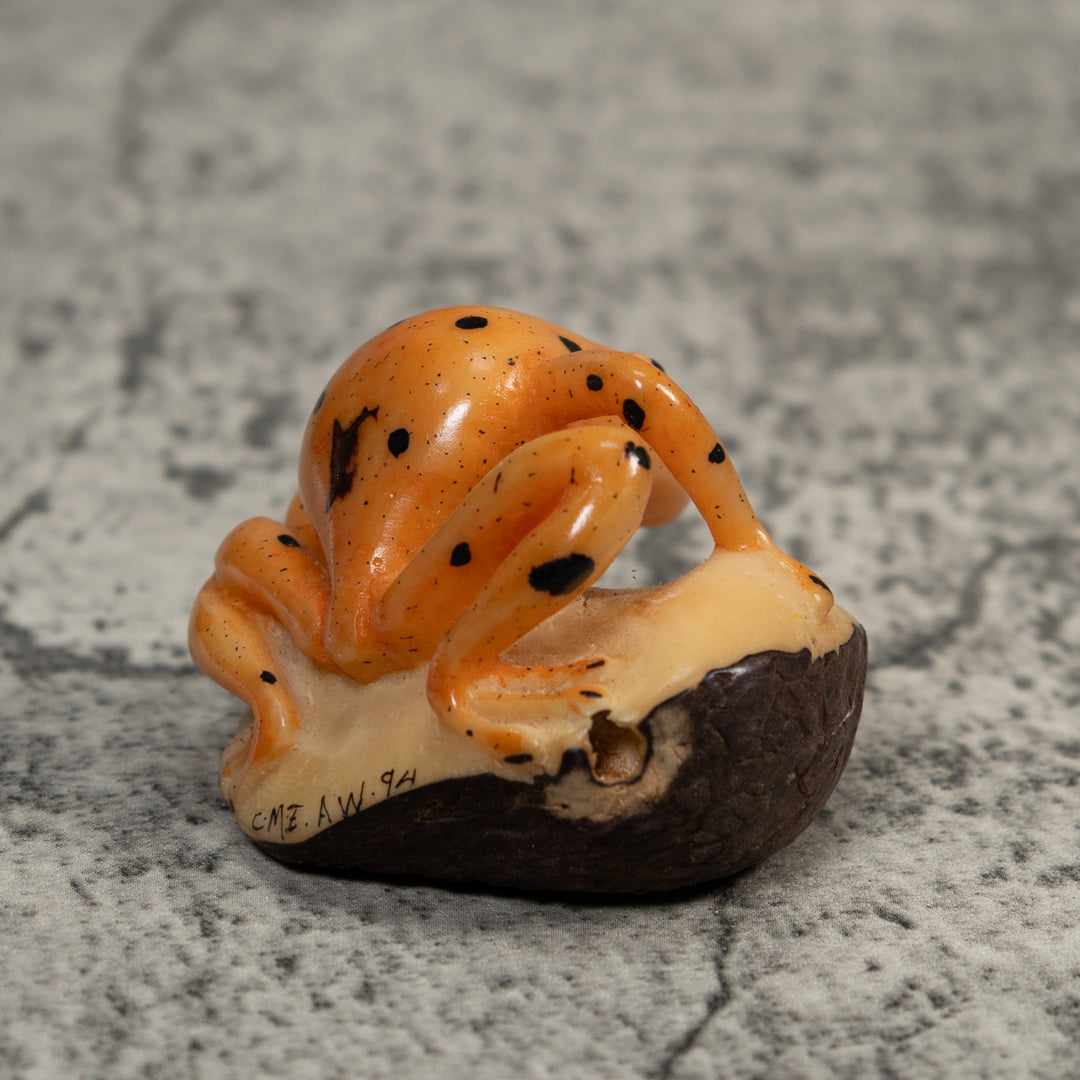 Vintage Gold And Black Jungle Frog Tagua Carving