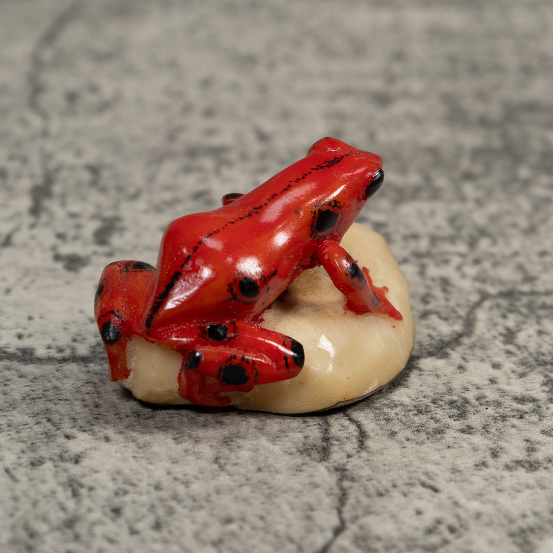 Black And Red Poison Dart Frog Tagua Carving