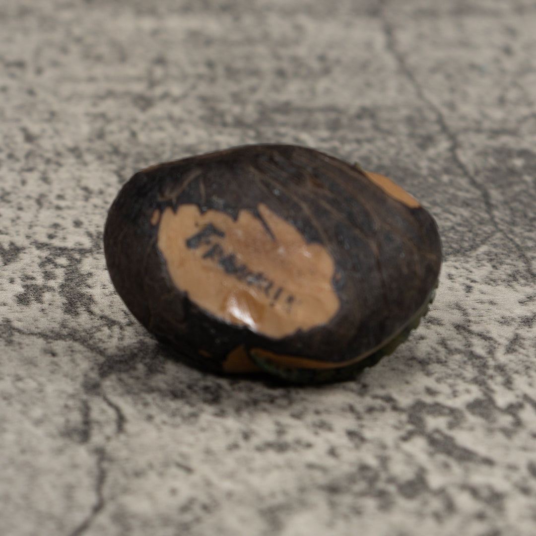 Vintage Iguana Lizard Reptile Tagua Carving