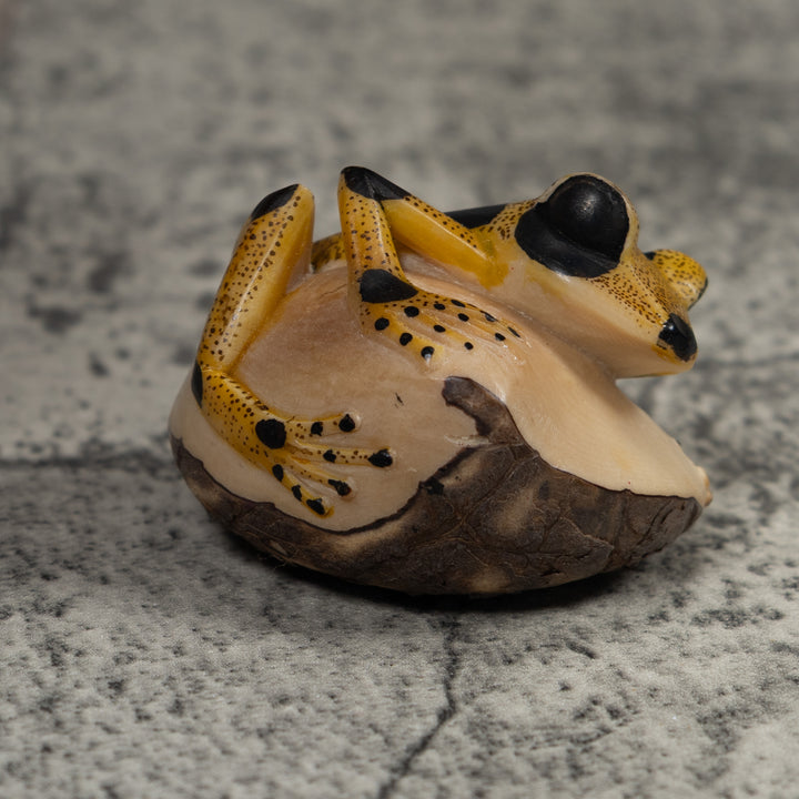 Poison Dart Frog Tagua Carving