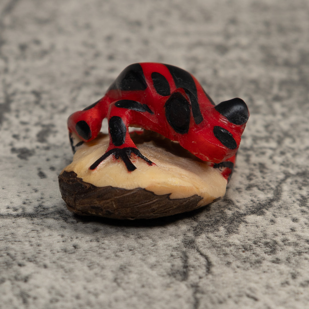 Vintage Red And Black Poison Dart Frog Tagua Carving