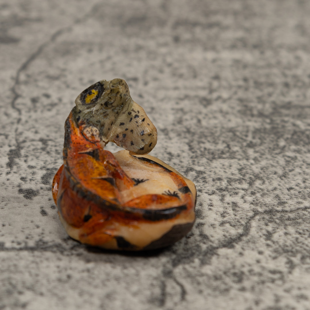 Iguana Lizard Reptile Tagua Carving