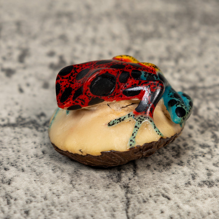 Gold And Black Red Poison Dart Frog Tagua Carving