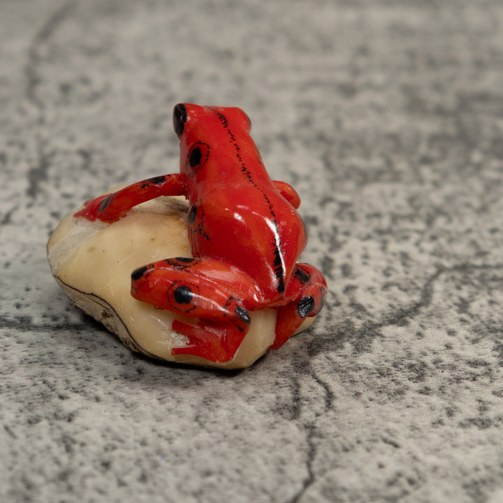 Black And Red Poison Dart Frog Tagua Carving