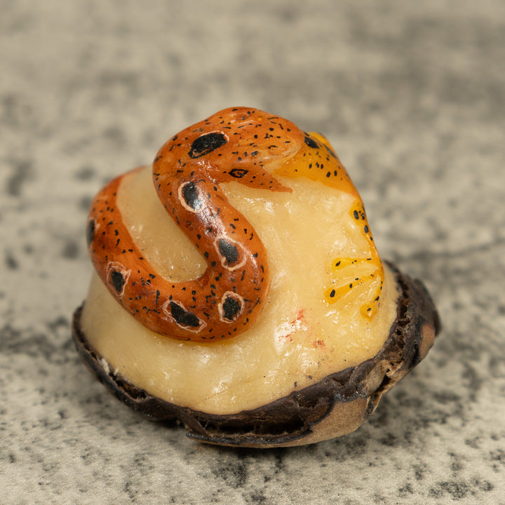 Snake Eating Frog Tagua Carving