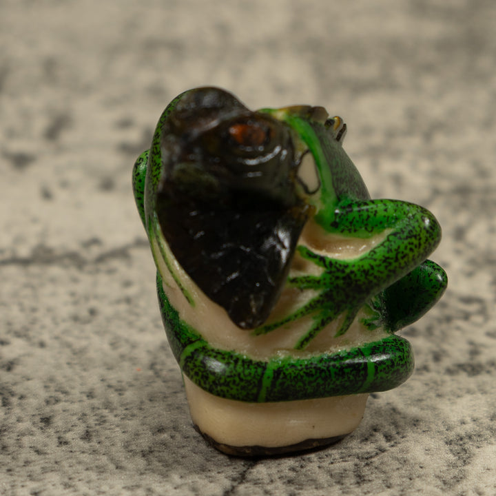 Iguana Lizard Reptile Tagua Carving