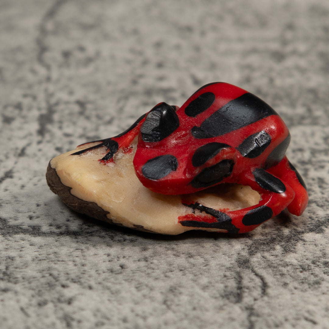Vintage Red And Black Poison Dart Frog Tagua Carving