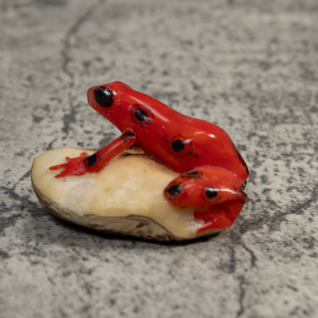 Black And Red Poison Dart Frog Tagua Carving
