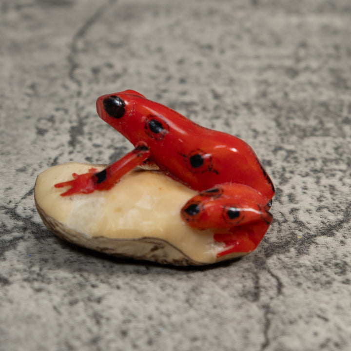 Black And Red Poison Dart Frog Tagua Carving