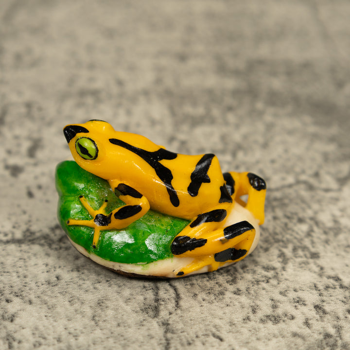 Golden Frog Tagua Carving