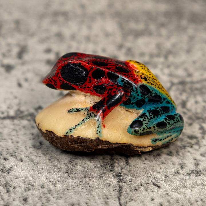 Gold And Black Red Poison Dart Frog Tagua Carving