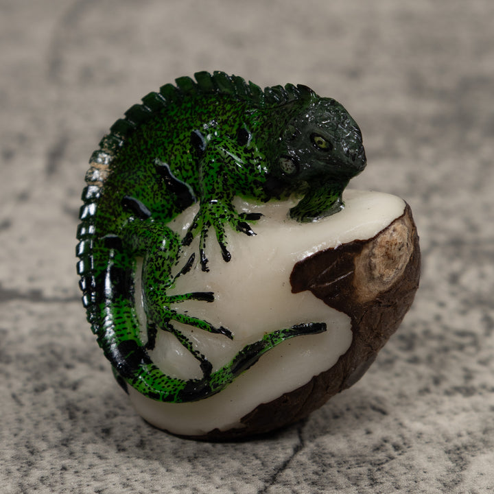Iguana Lizard Reptile Tagua Carving