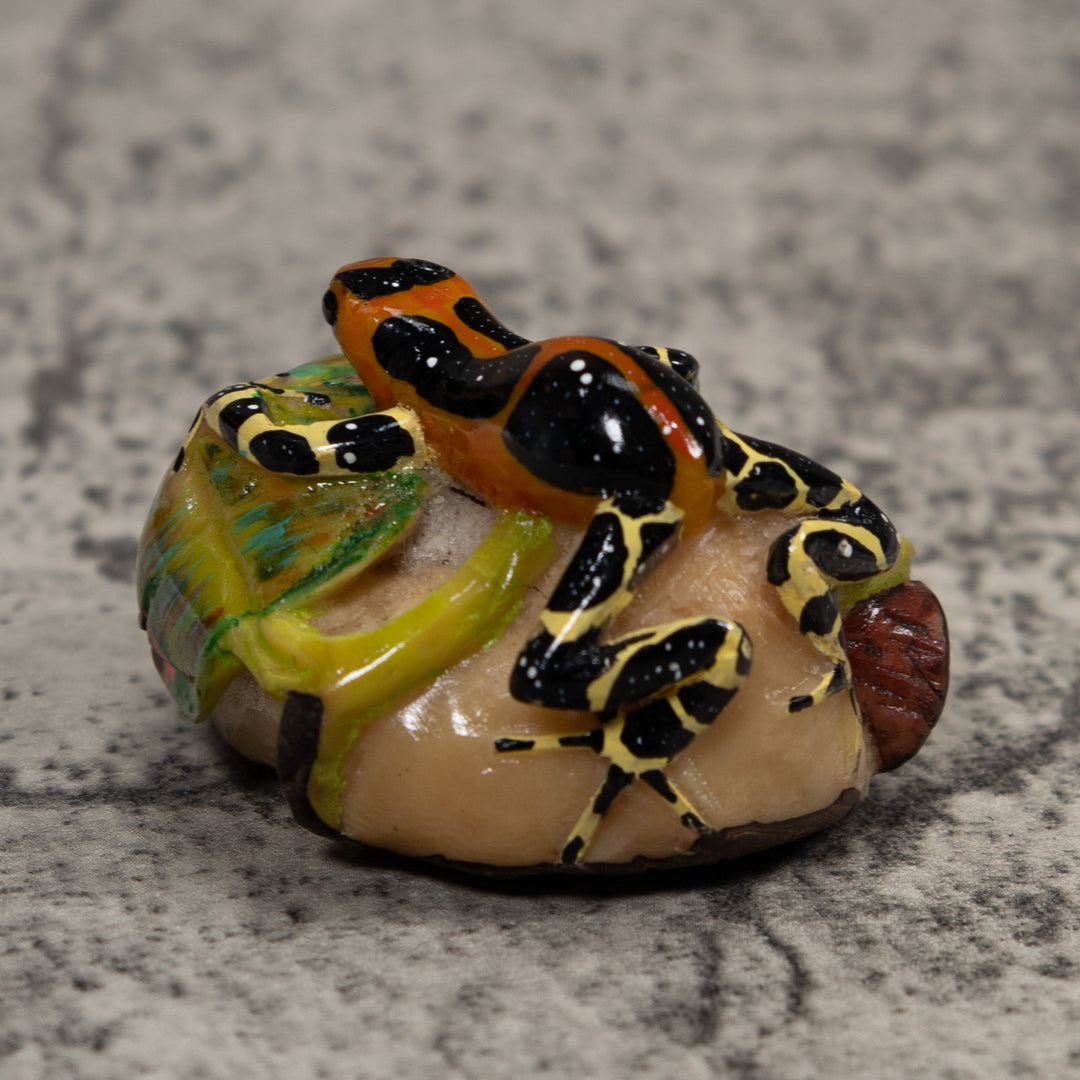 Poison Dart Frog Tagua Carving