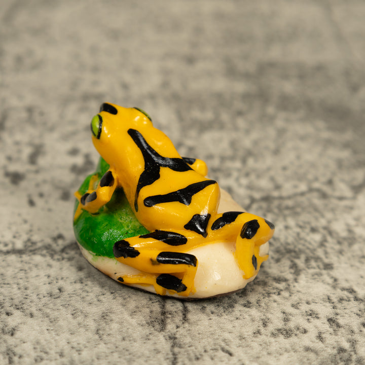 Golden Frog Tagua Carving