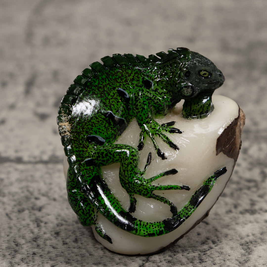 Iguana Lizard Reptile Tagua Carving