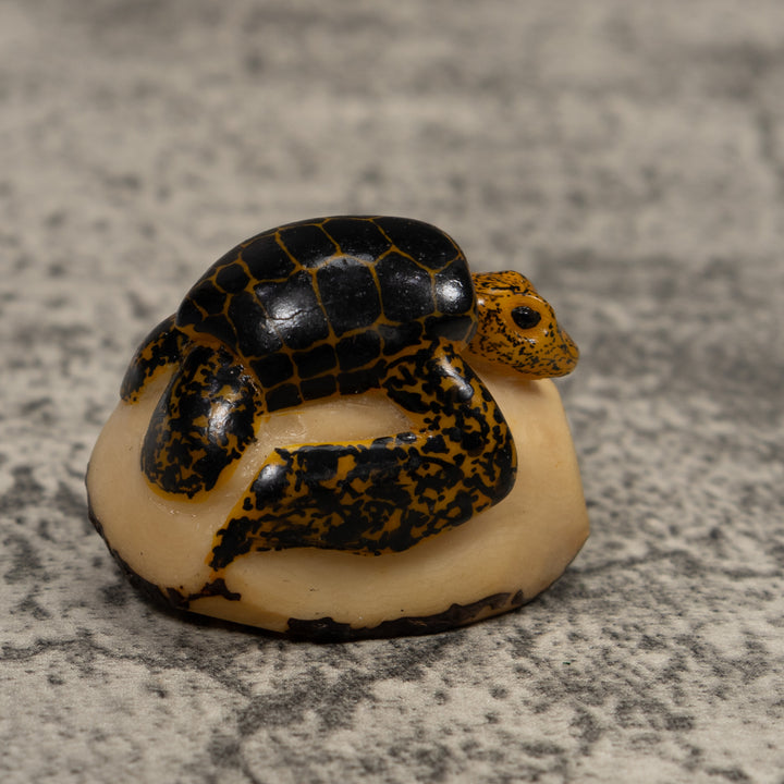Vintage Sea Turtle Tagua Carving