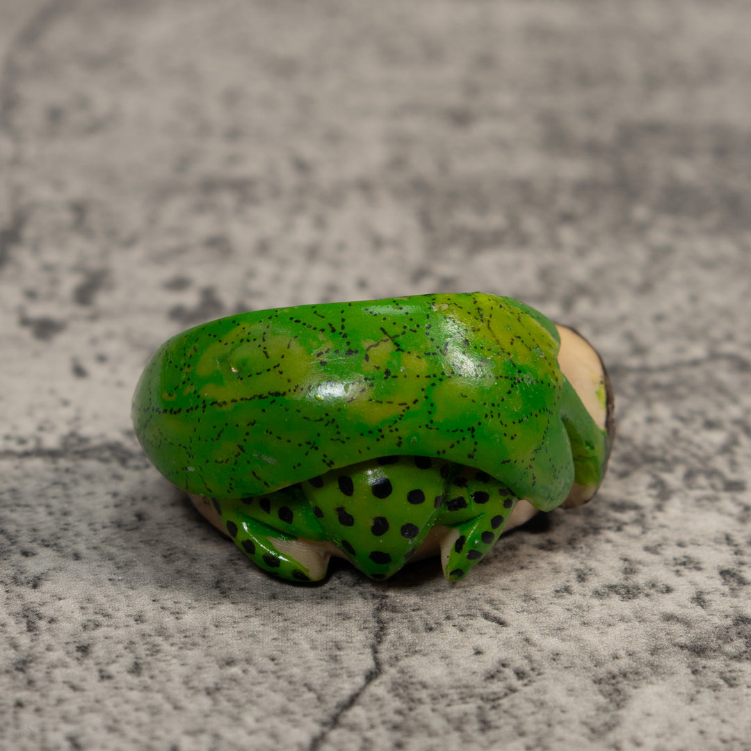 Green And Black Poison Dart Frog Tagua Carving