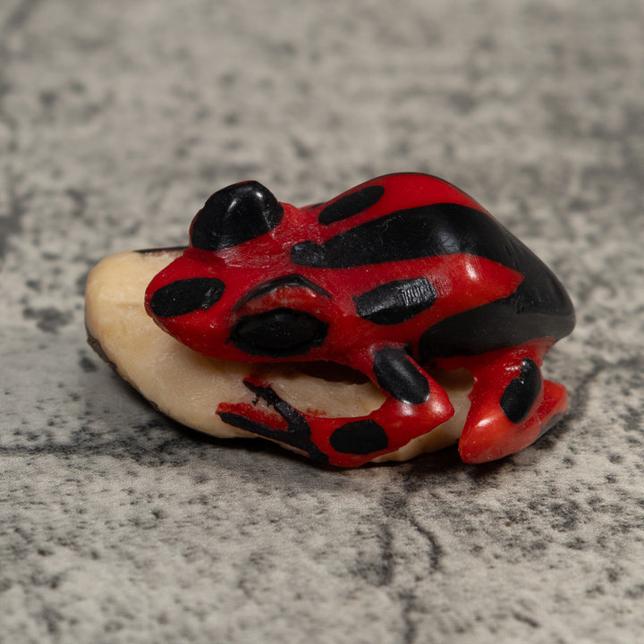 Vintage Red And Black Poison Dart Frog Tagua Carving