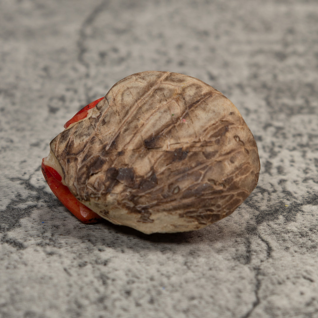 Black And Red Poison Dart Frog Tagua Carving