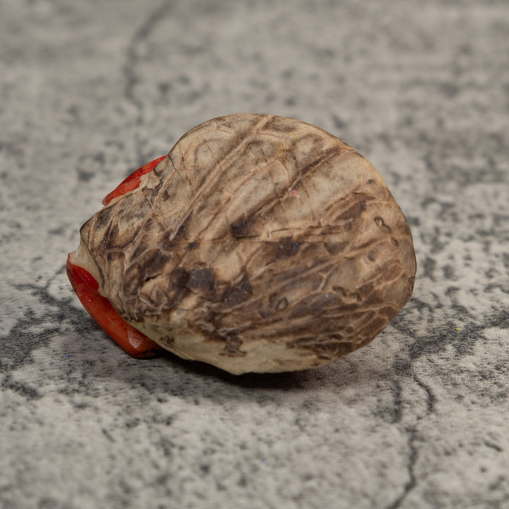 Black And Red Poison Dart Frog Tagua Carving