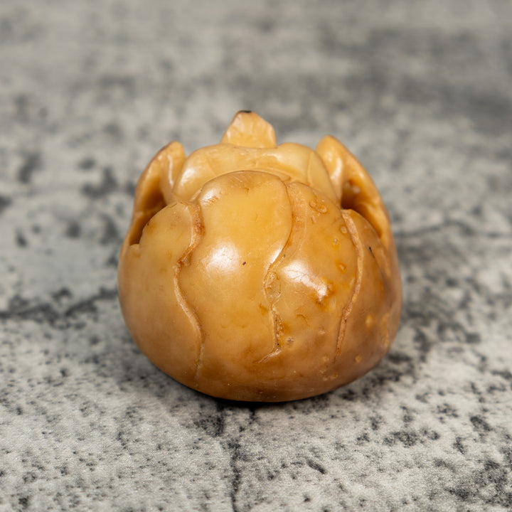 Vintage Natural White Dyed Turtle And Egg Tagua Carving