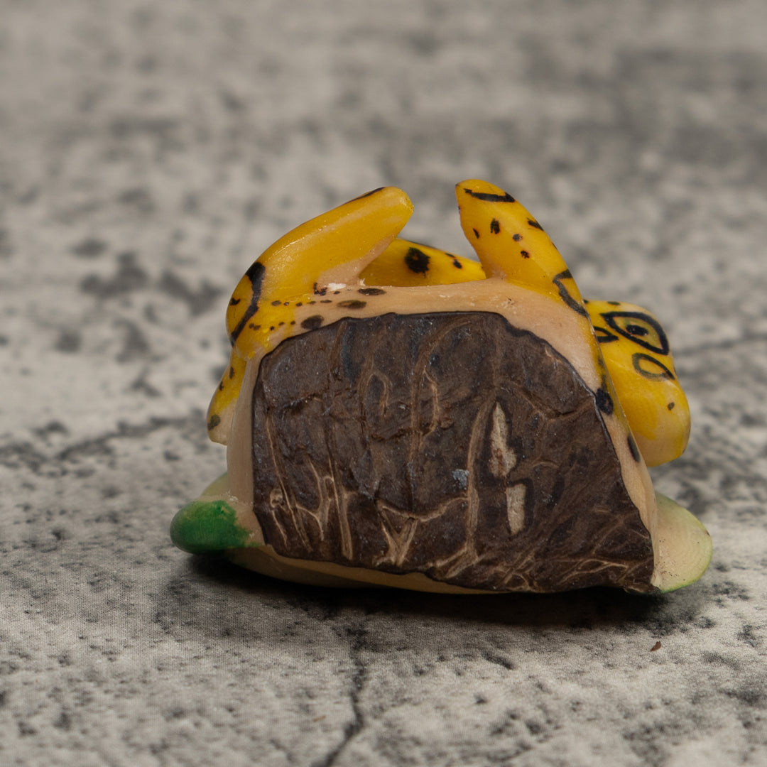 Vintage Black Yellow And Green Frog Tagua Carving