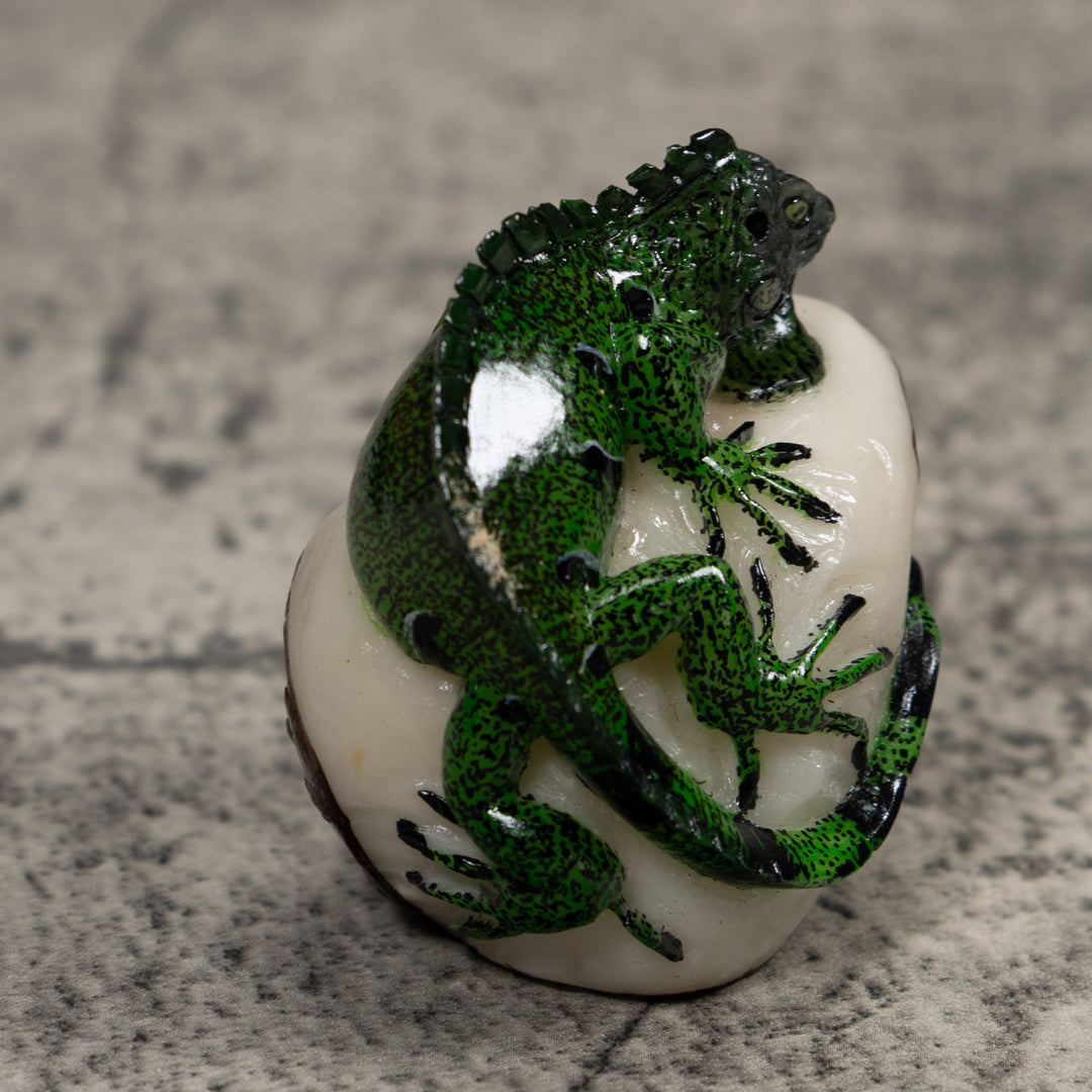 Iguana Lizard Reptile Tagua Carving