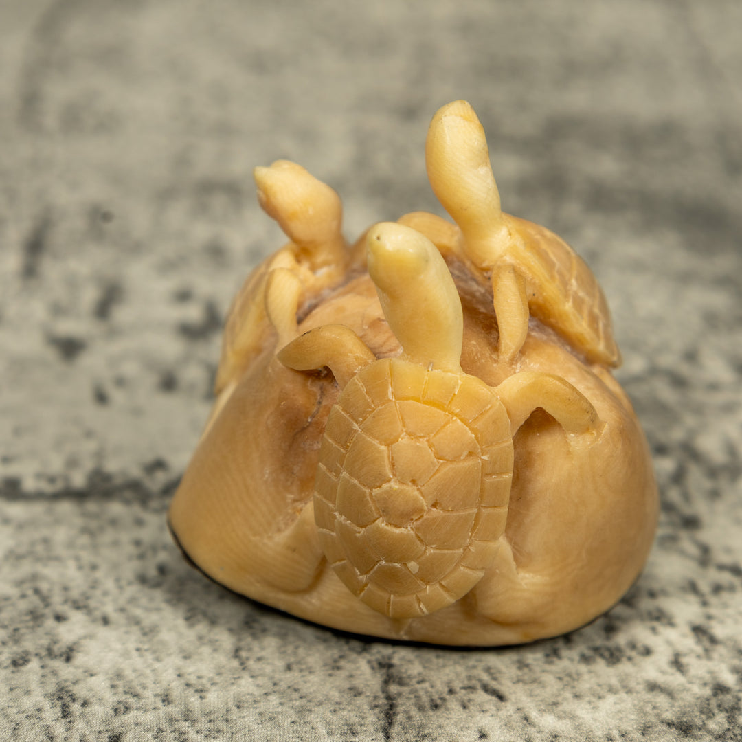 Natural White Triple Sea Turtle Tagua Carving