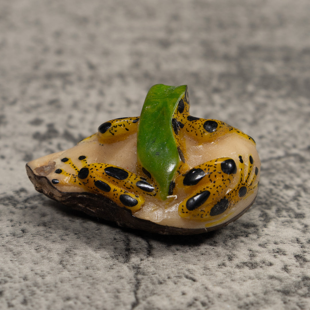 Poison Dart Frog Tagua Carving