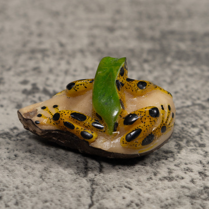 Poison Dart Frog Tagua Carving