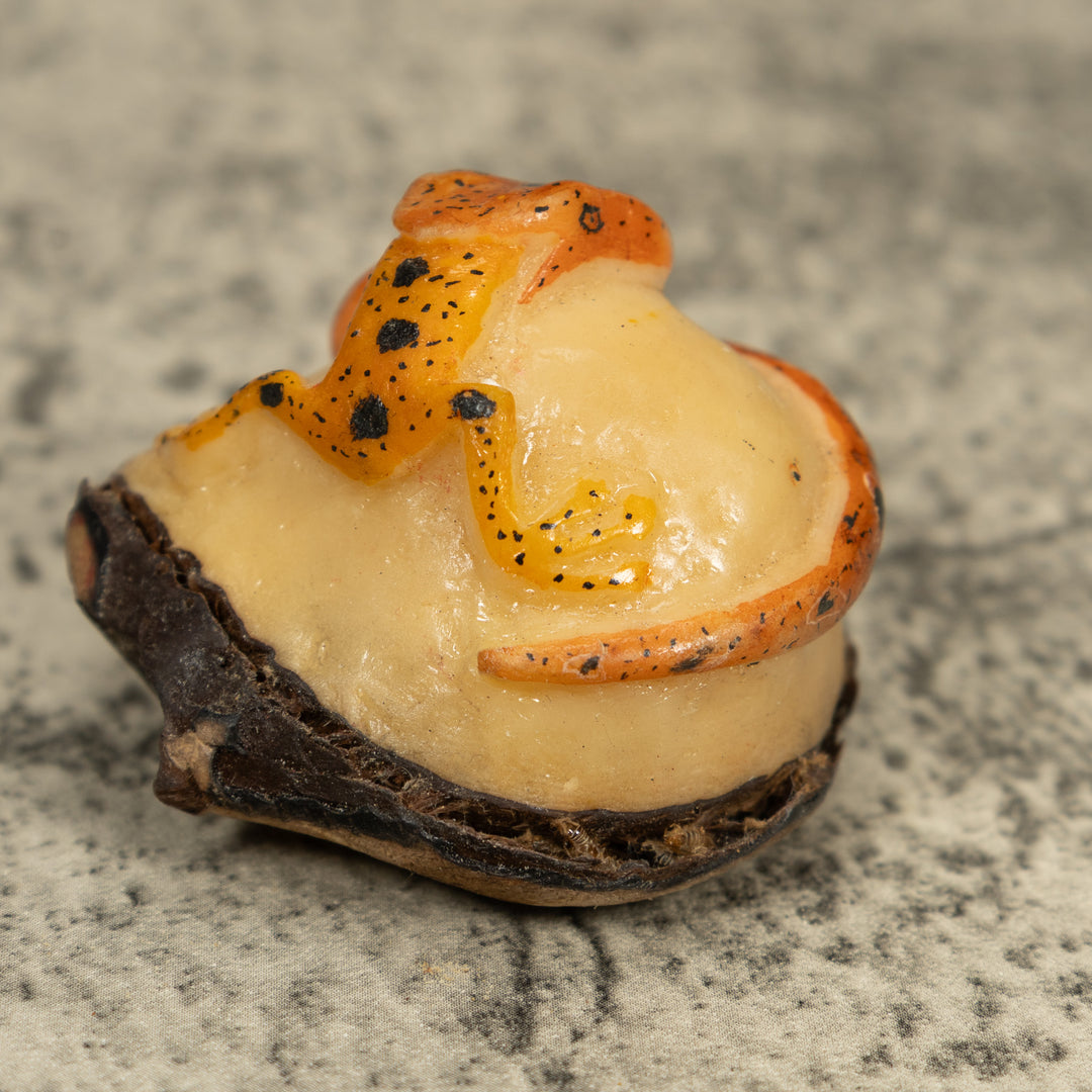 Snake Eating Frog Tagua Carving