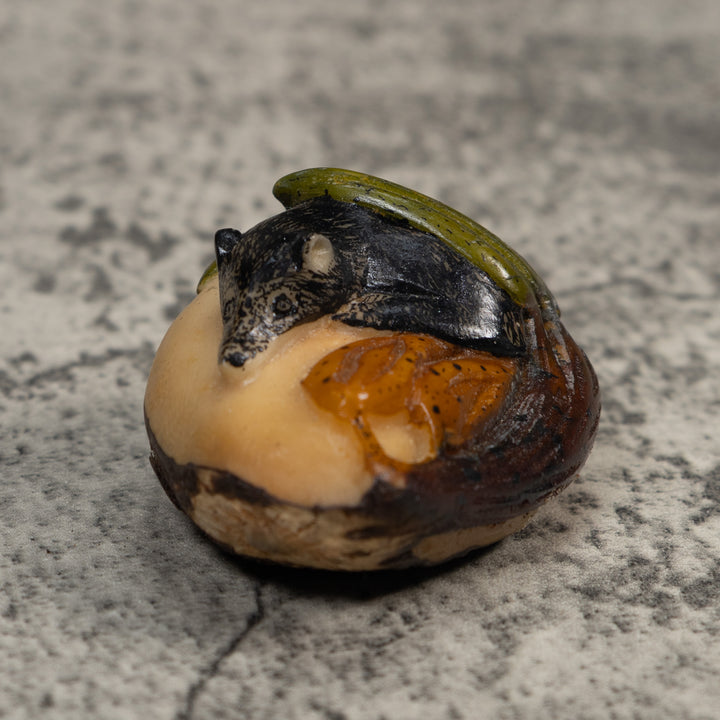 Rainforest Coatimundi Tagua Carving
