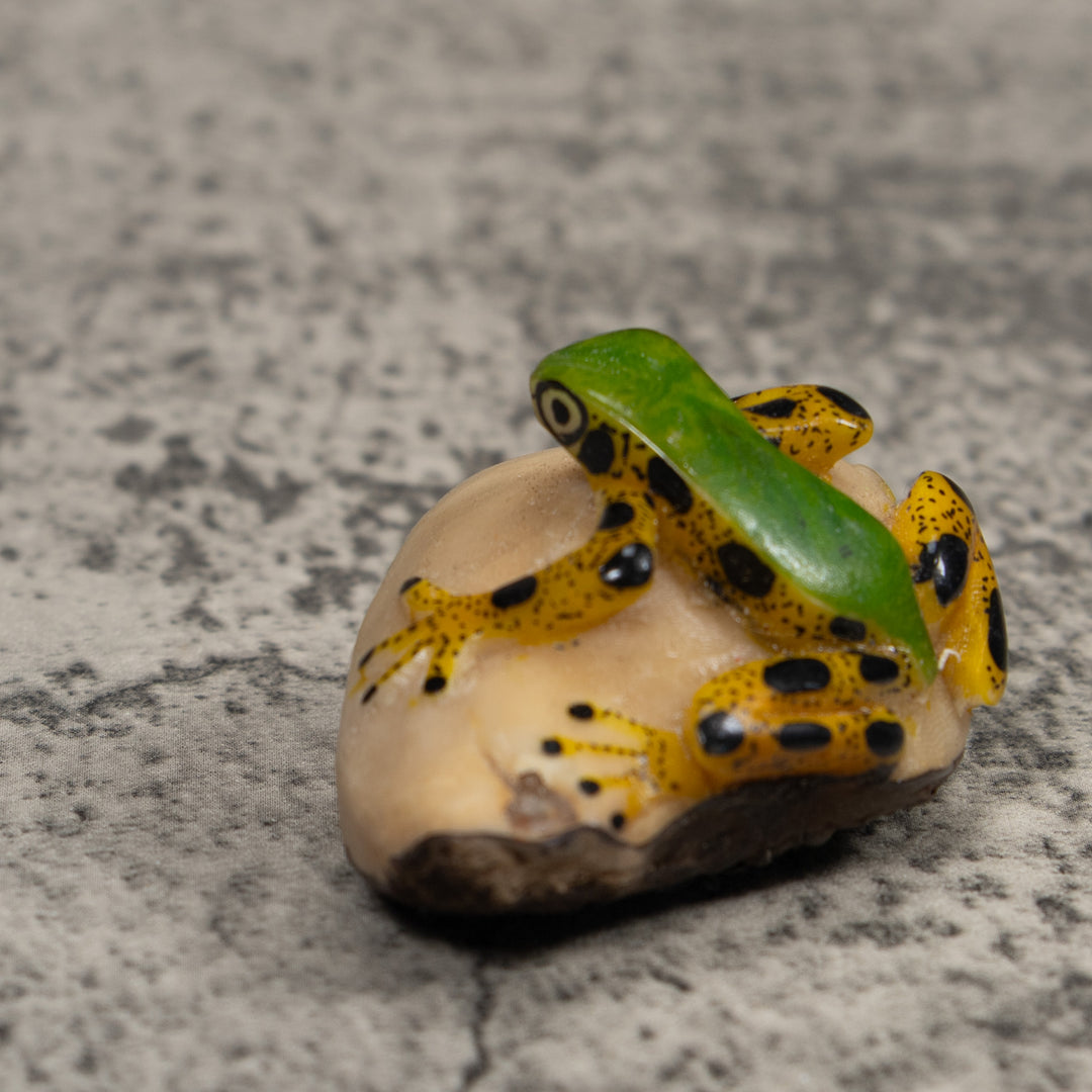 Poison Dart Frog Tagua Carving