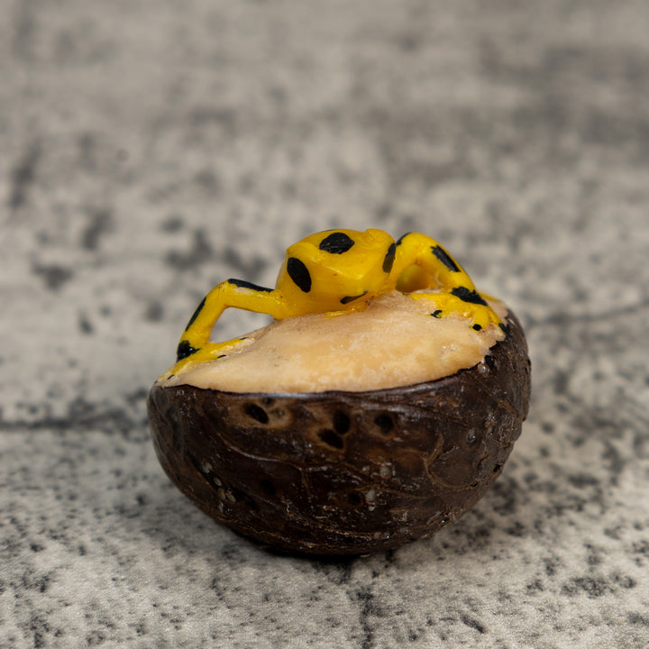 Golden Frog Tagua Carving