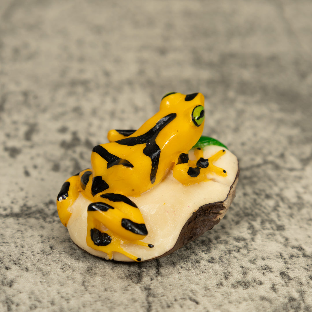 Golden Frog Tagua Carving