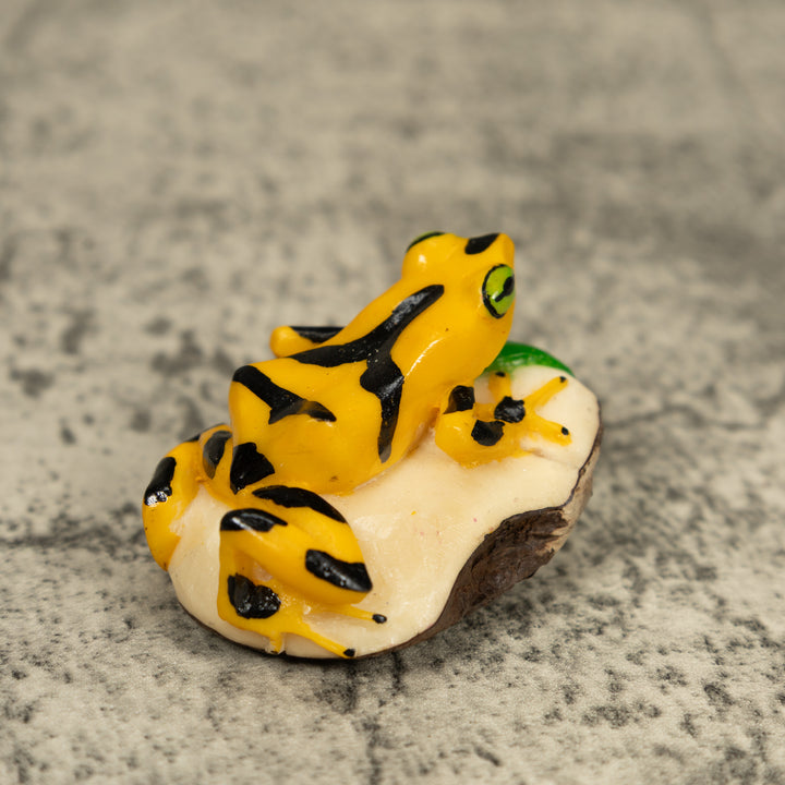 Golden Frog Tagua Carving