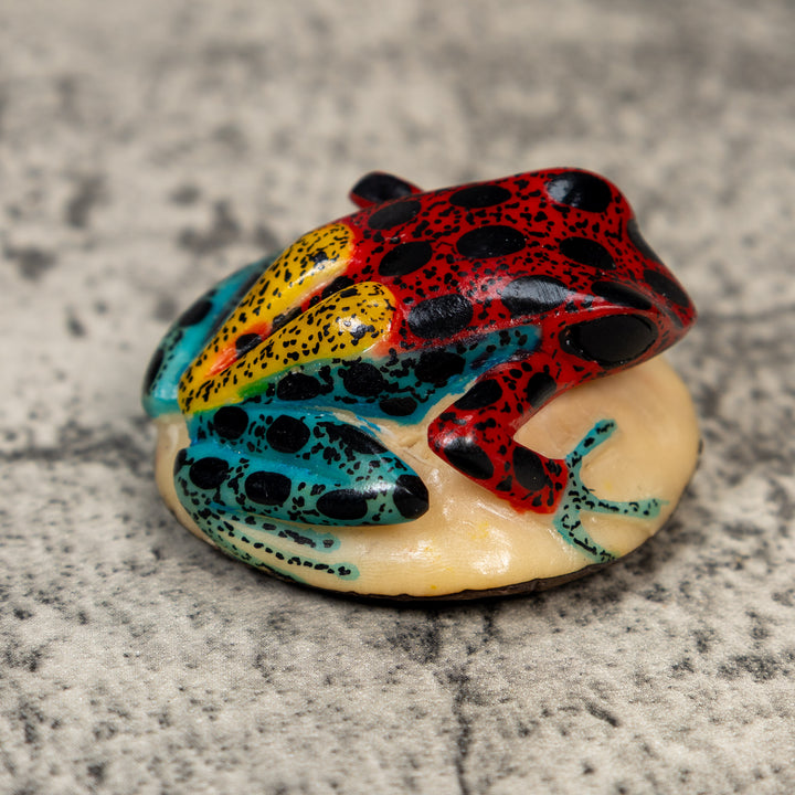 Gold And Black Red Poison Dart Frog Tagua Carving