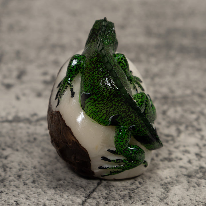 Iguana Lizard Reptile Tagua Carving