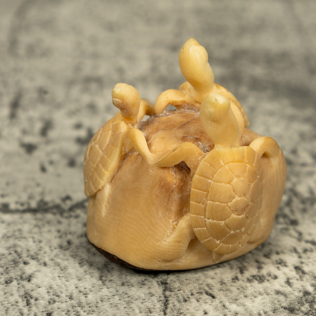 Natural White Triple Sea Turtle Tagua Carving