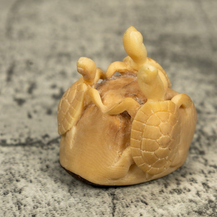 Natural White Triple Sea Turtle Tagua Carving