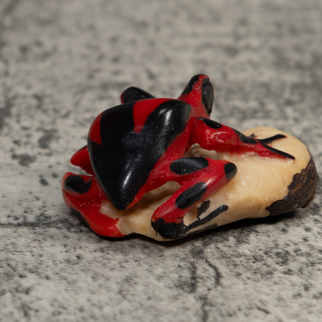 Vintage Red And Black Poison Dart Frog Tagua Carving