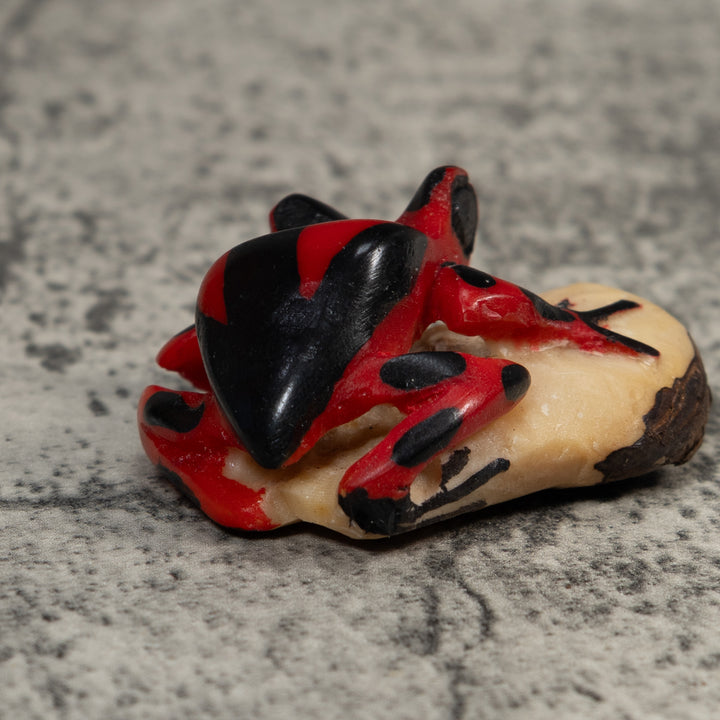 Vintage Red And Black Poison Dart Frog Tagua Carving