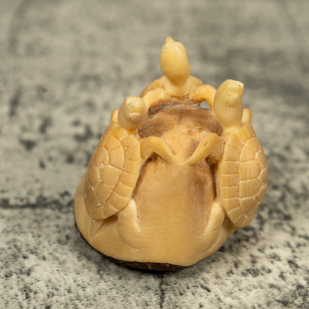 Natural White Triple Sea Turtle Tagua Carving